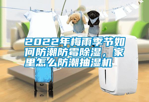 2022年梅雨季節(jié)如何防潮防霉除濕,家里怎么防潮抽濕機(jī)