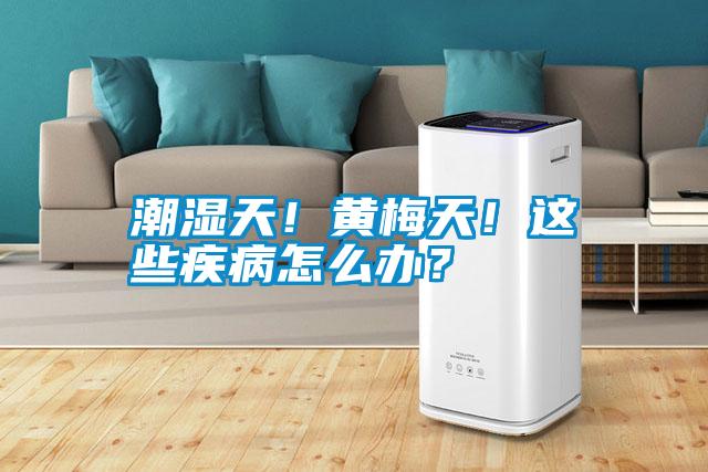 潮濕天！黃梅天！這些疾病怎么辦？