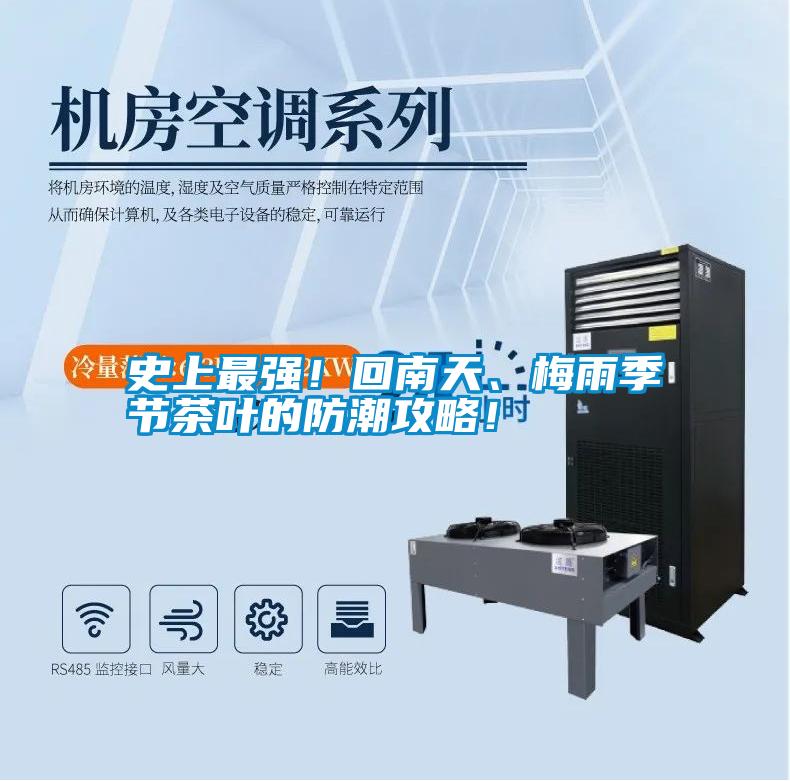 史上最強！回南天、梅雨季節茶葉的防潮攻略！