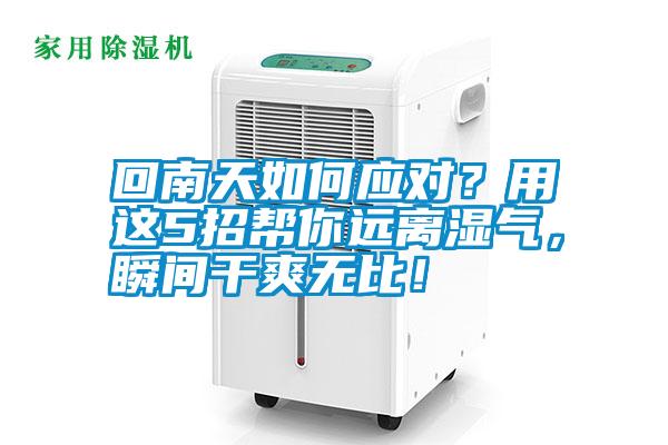 回南天如何應(yīng)對？用這5招幫你遠(yuǎn)離濕氣，瞬間干爽無比！