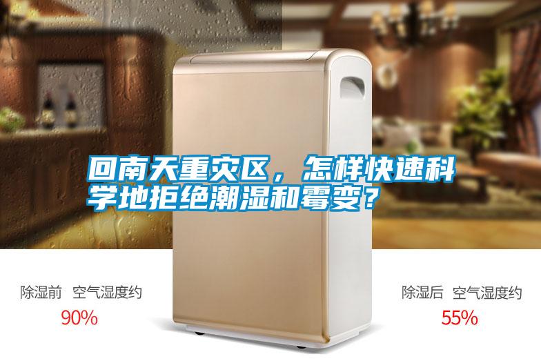 回南天重災區，怎樣快速科學地拒絕潮濕和霉變？