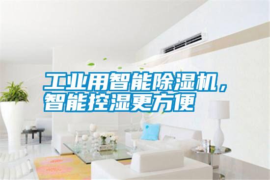 工業(yè)用智能除濕機(jī),智能控濕更方便