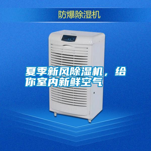 夏季新風(fēng)除濕機(jī),給你室內(nèi)新鮮空氣