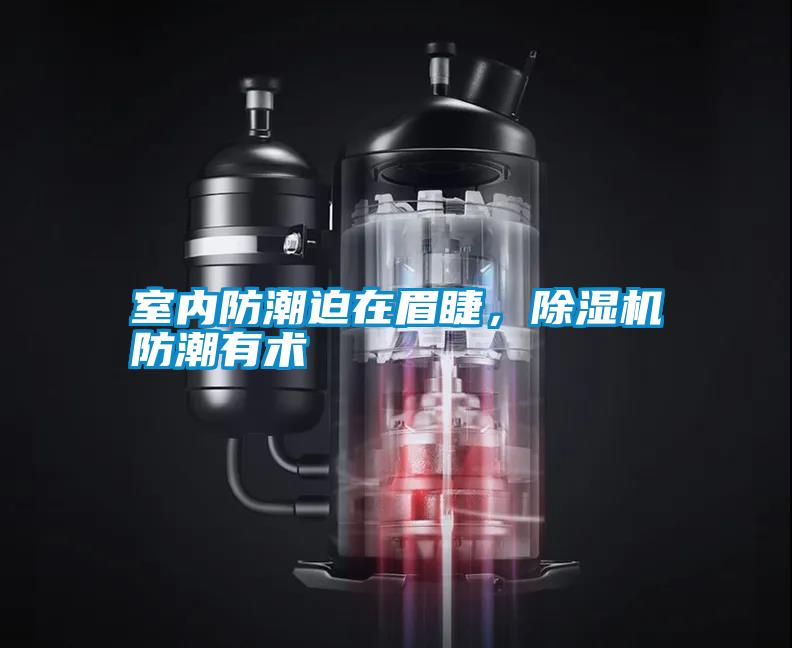 室內防潮迫在眉睫，除濕機防潮有術