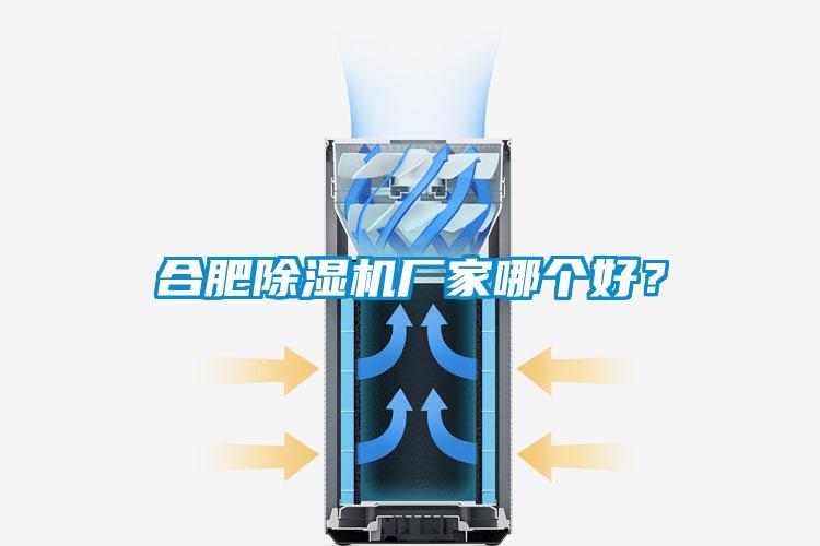 合肥除濕機(jī)廠家哪個(gè)好?