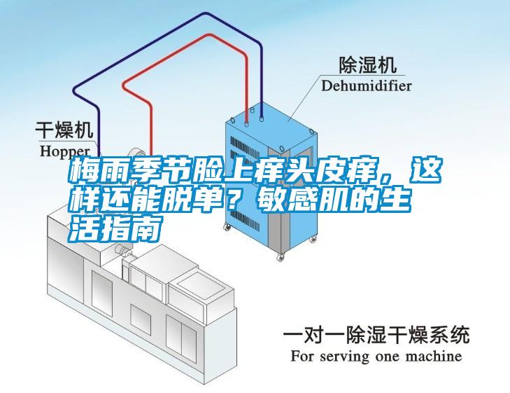 梅雨季節(jié)臉上癢頭皮癢，這樣還能脫單？敏感肌的生活指南