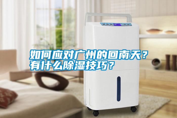 如何應對廣州的回南天？有什么除濕技巧？