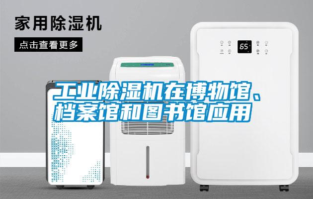 工業(yè)除濕機(jī)在博物館、檔案館和圖書館應(yīng)用