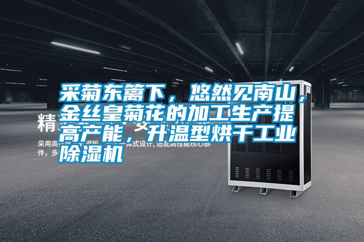 采菊東籬下，悠然見南山，金絲皇菊花的加工生產(chǎn)提高產(chǎn)能，升溫型烘干工業(yè)除濕機