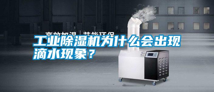 工業除濕機為什么會出現滴水現象？