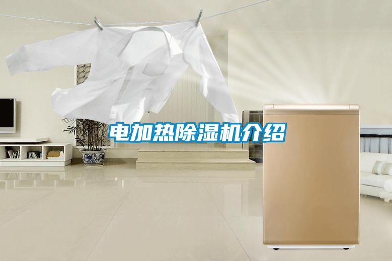 電加熱除濕機(jī)介紹