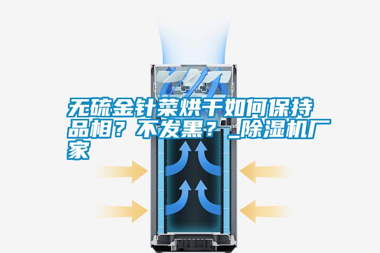 無硫金針菜烘干如何保持品相？不發黑？_除濕機廠家