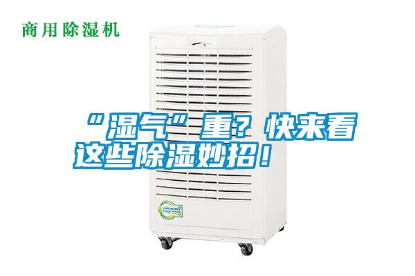 “濕氣”重？快來(lái)看這些除濕妙招！