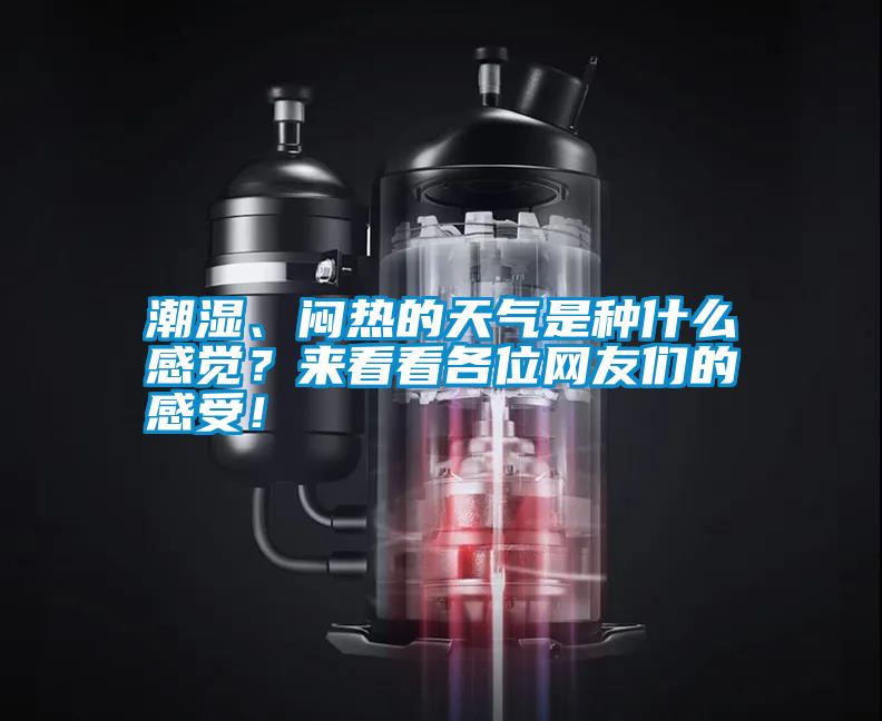 潮濕、悶熱的天氣是種什么感覺(jué)?來(lái)看看各位網(wǎng)友們的感受!