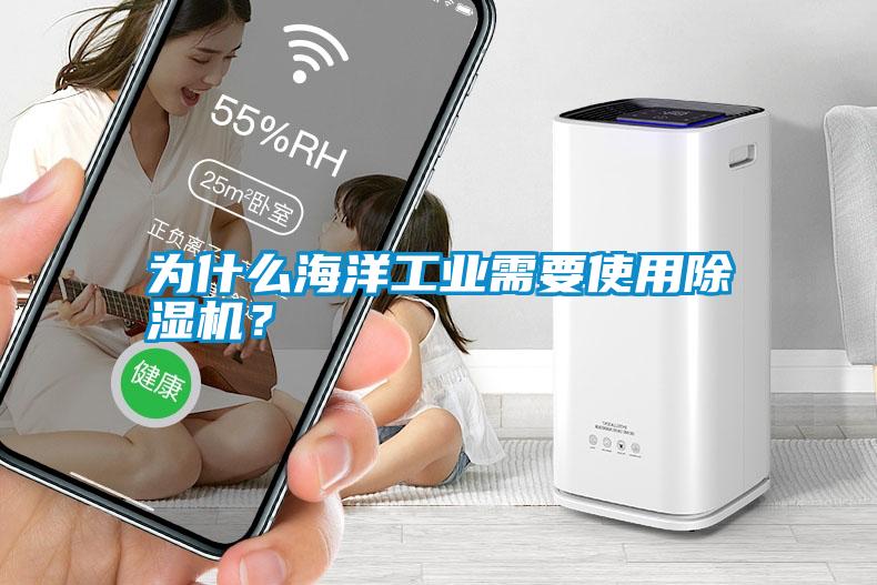 為什么海洋工業需要使用除濕機？