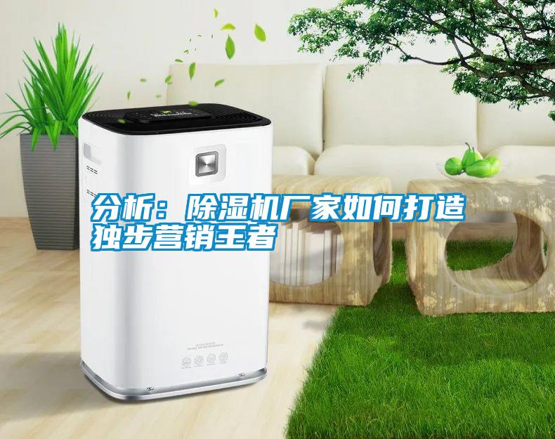 分析:除濕機(jī)廠家如何打造獨(dú)步營銷王者
