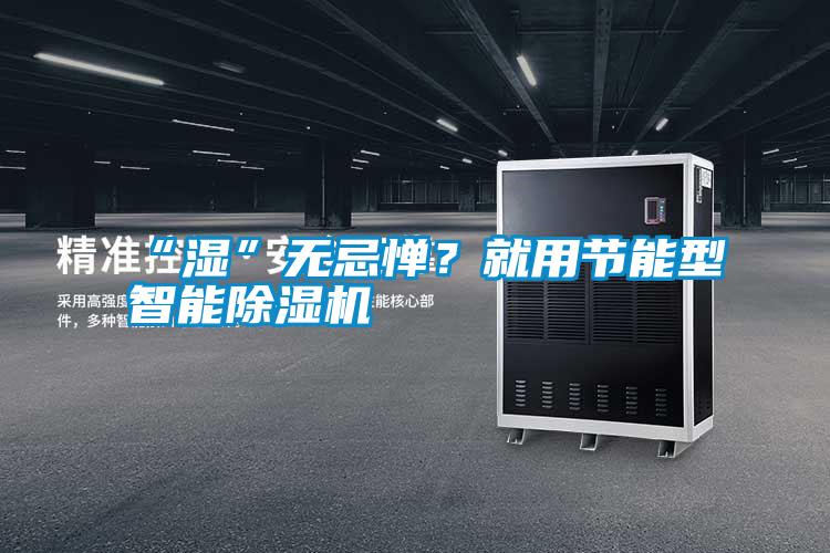 “濕”無忌憚？就用節(jié)能型智能除濕機(jī)