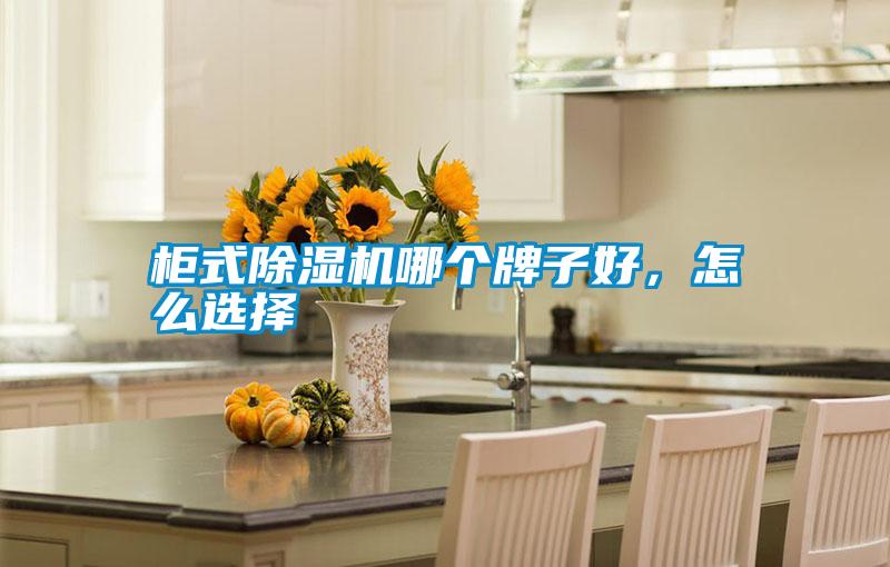 柜式除濕機哪個牌子好,怎么選擇