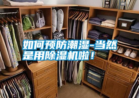 如何預(yù)防潮濕-當(dāng)然是用除濕機(jī)啦!