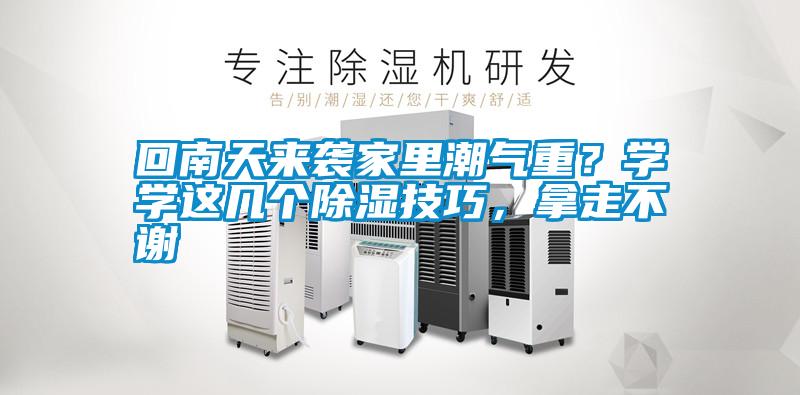 回南天來襲家里潮氣重？學學這幾個除濕技巧，拿走不謝