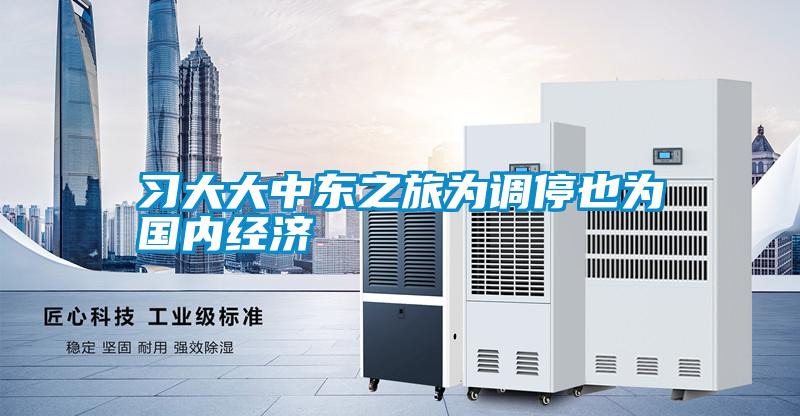 習(xí)大大中東之旅為調(diào)停也為國內(nèi)經(jīng)濟