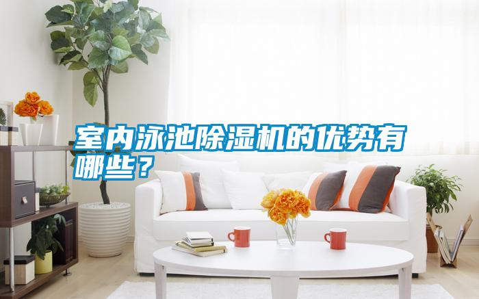 室內泳池除濕機的優勢有哪些?