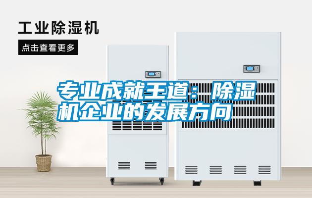 專業(yè)成就王道：除濕機企業(yè)的發(fā)展方向