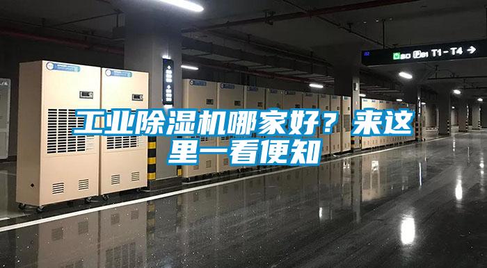 工業(yè)除濕機(jī)哪家好？來這里一看便知