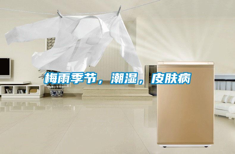 梅雨季節,潮濕,皮膚病