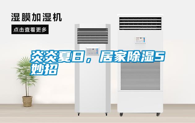 炎炎夏日，居家除濕5妙招