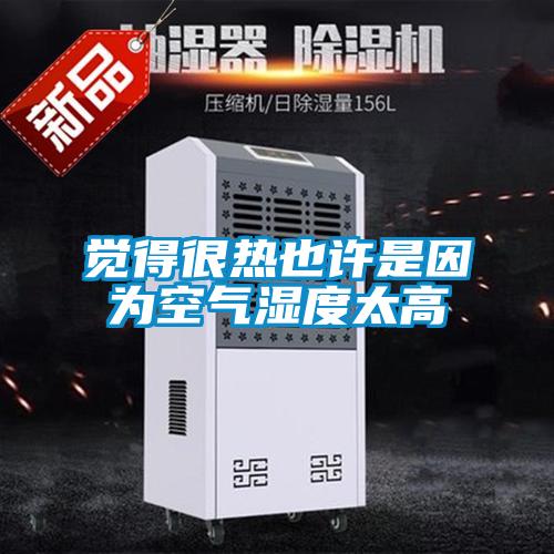 覺(jué)得很熱也許是因?yàn)榭諝鉂穸忍?/></p>
						    <p style=