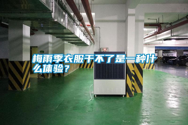 梅雨季衣服干不了是一種什么體驗(yàn)?