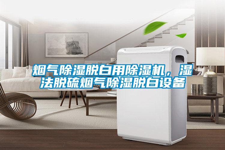 煙氣除濕脫白用除濕機,濕法脫硫煙氣除濕脫白設備