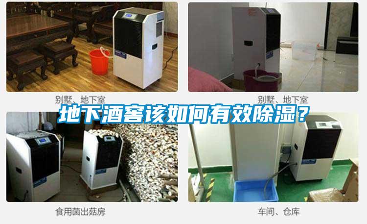 地下酒窖該如何有效除濕?
