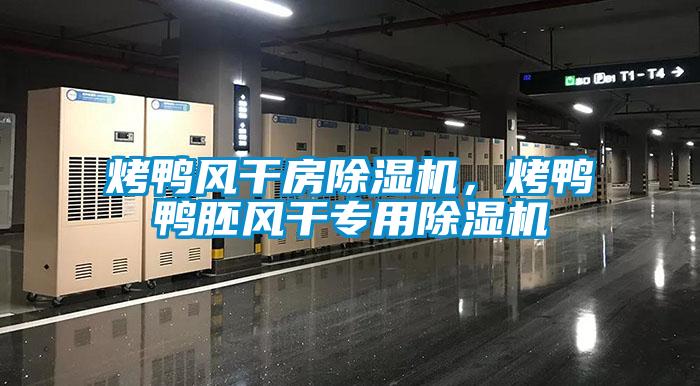 烤鴨風干房除濕機，烤鴨鴨胚風干專用除濕機