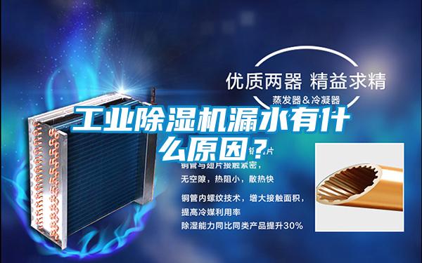 工業(yè)除濕機漏水有什么原因?