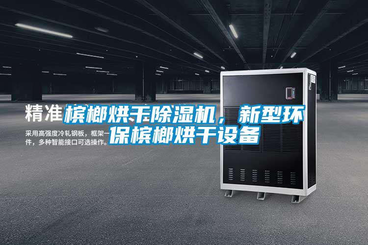 檳榔烘干除濕機，新型環保檳榔烘干設備