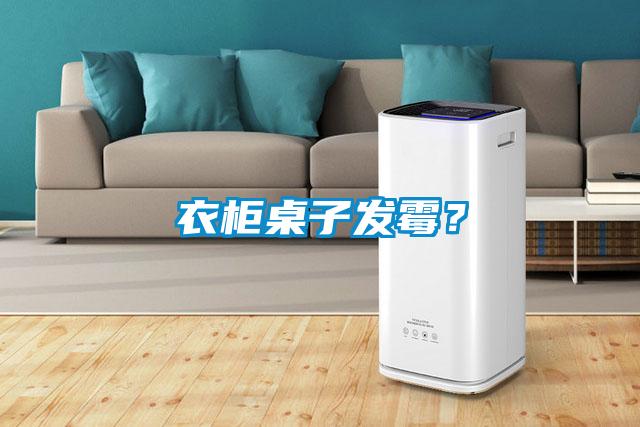 衣柜桌子發(fā)霉?