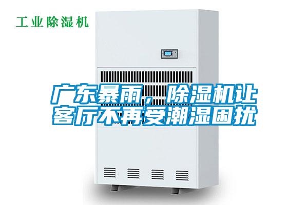 廣東暴雨，除濕機讓客廳不再受潮濕困擾