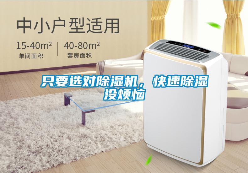 只要選對除濕機(jī),快速除濕沒煩惱