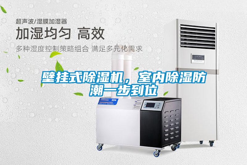 壁掛式除濕機，室內除濕防潮一步到位