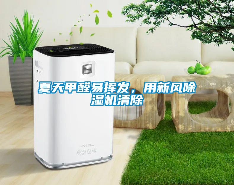 夏天甲醛易揮發，用新風除濕機清除