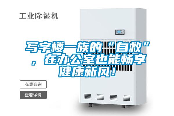 寫字樓一族的“自救”，在辦公室也能暢享健康新風(fēng)！