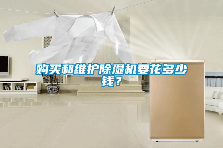 購(gòu)買(mǎi)和維護(hù)除濕機(jī)要花多少錢(qián)？