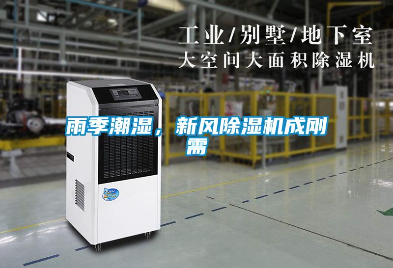 雨季潮濕,新風除濕機成剛需