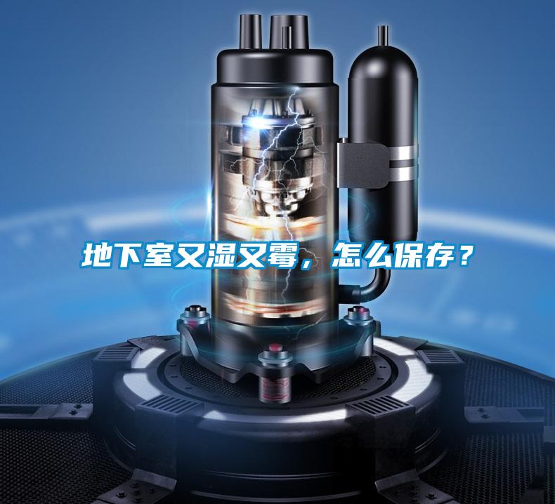 地下室又濕又霉，怎么保存？