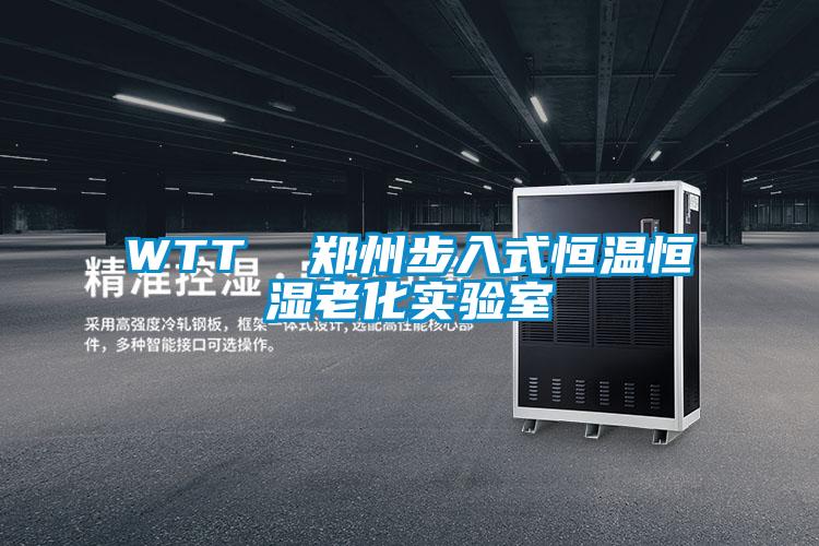 WTT 鄭州步入式恒溫恒濕老化實(shí)驗(yàn)室