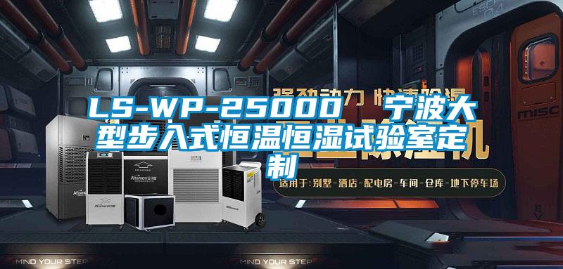 LS-WP-25000 寧波大型步入式恒溫恒濕試驗(yàn)室定制