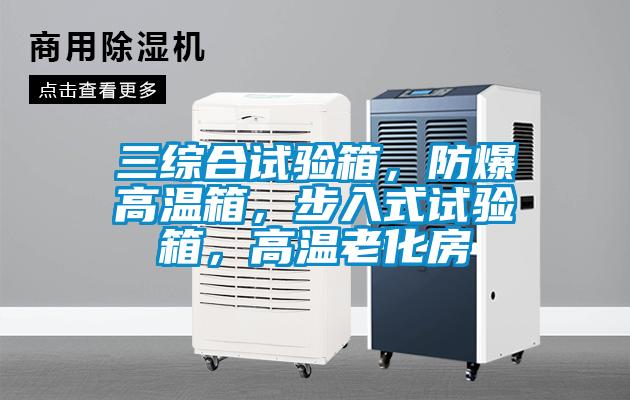 三綜合試驗箱，防爆高溫箱，步入式試驗箱，高溫老化房