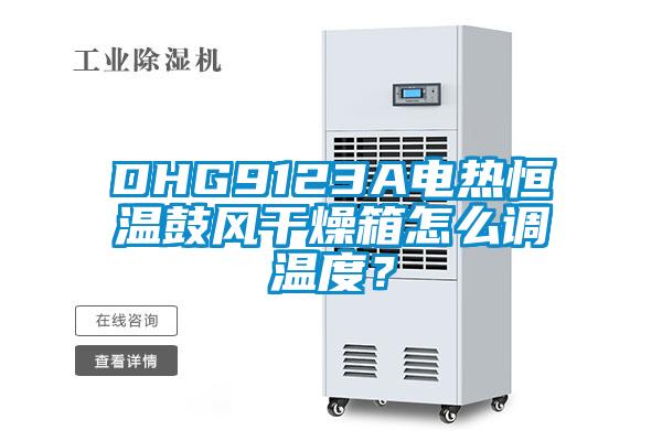 DHG9123A電熱恒溫鼓風干燥箱怎么調(diào)溫度?